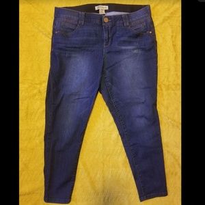 Democracy Ab Tech Skinny Ankle Jeans (Plus Size)